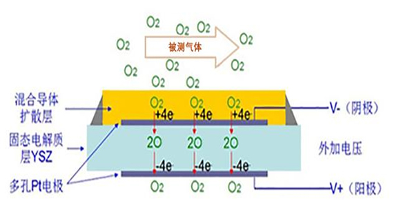 1653372903698184.jpg 3D离子流-1.jpg